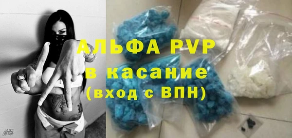 индика Верея