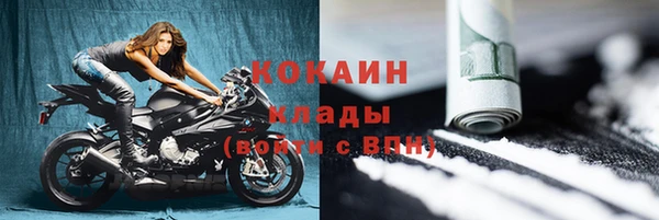 индика Верея