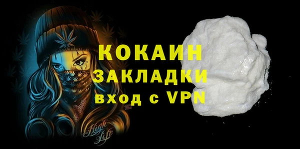 индика Верея
