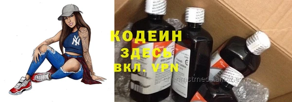 индика Верея