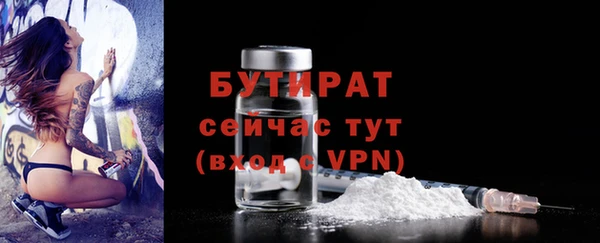 индика Верея