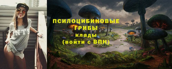 индика Верея